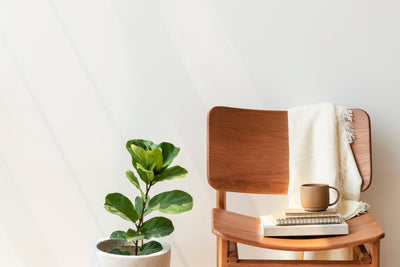 The Ultimate Guide to Choosing Sustainable Furniture