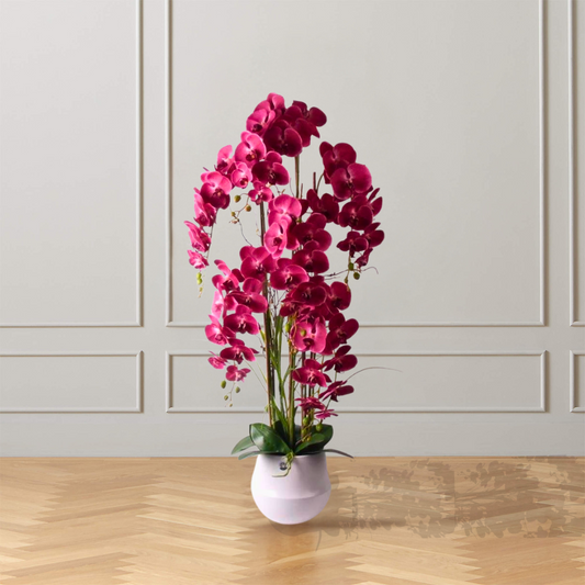 1.2m Pink Orchid in Ceramic Pot