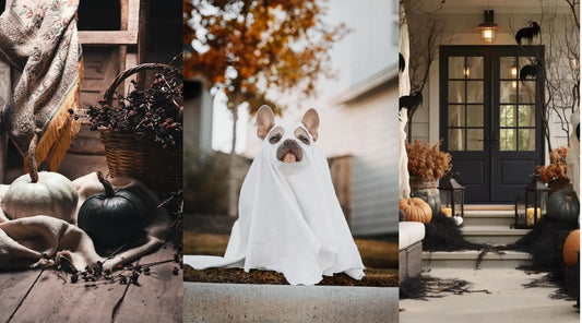 Spooktacular Home Decor: Unleash Your Inner Halloween Designer