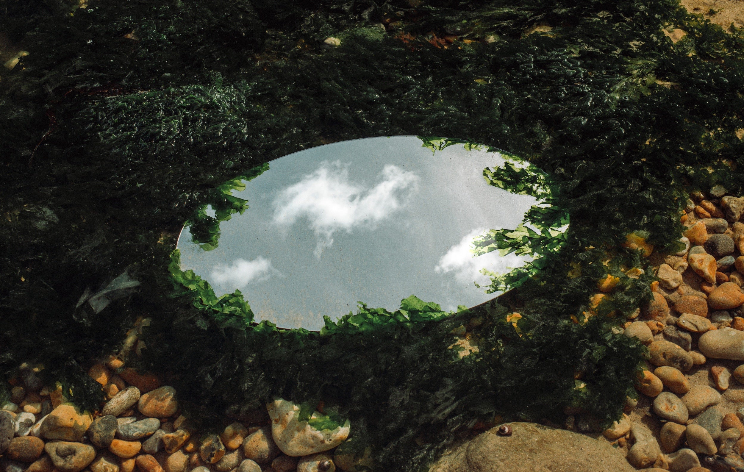 Mirror, Mirror on the Wall: How to Keep Your Mirrors Streak-Free and Sparkling Naturally
