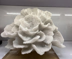 Resin Coral Statue