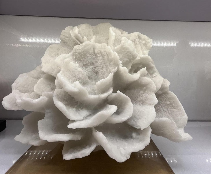 Resin Coral Statue