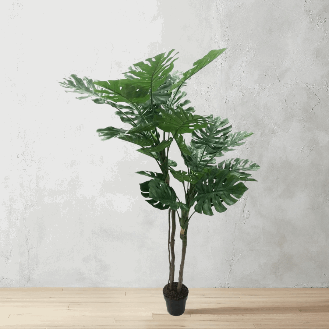 2m Artificial Monstera Plant in Pot