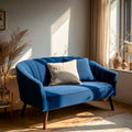 Blue sofa with a pillow in a sunlit living room