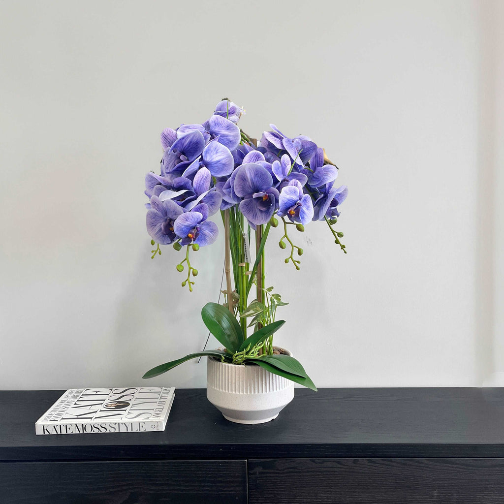 73cm Violet Orchid in Pot
