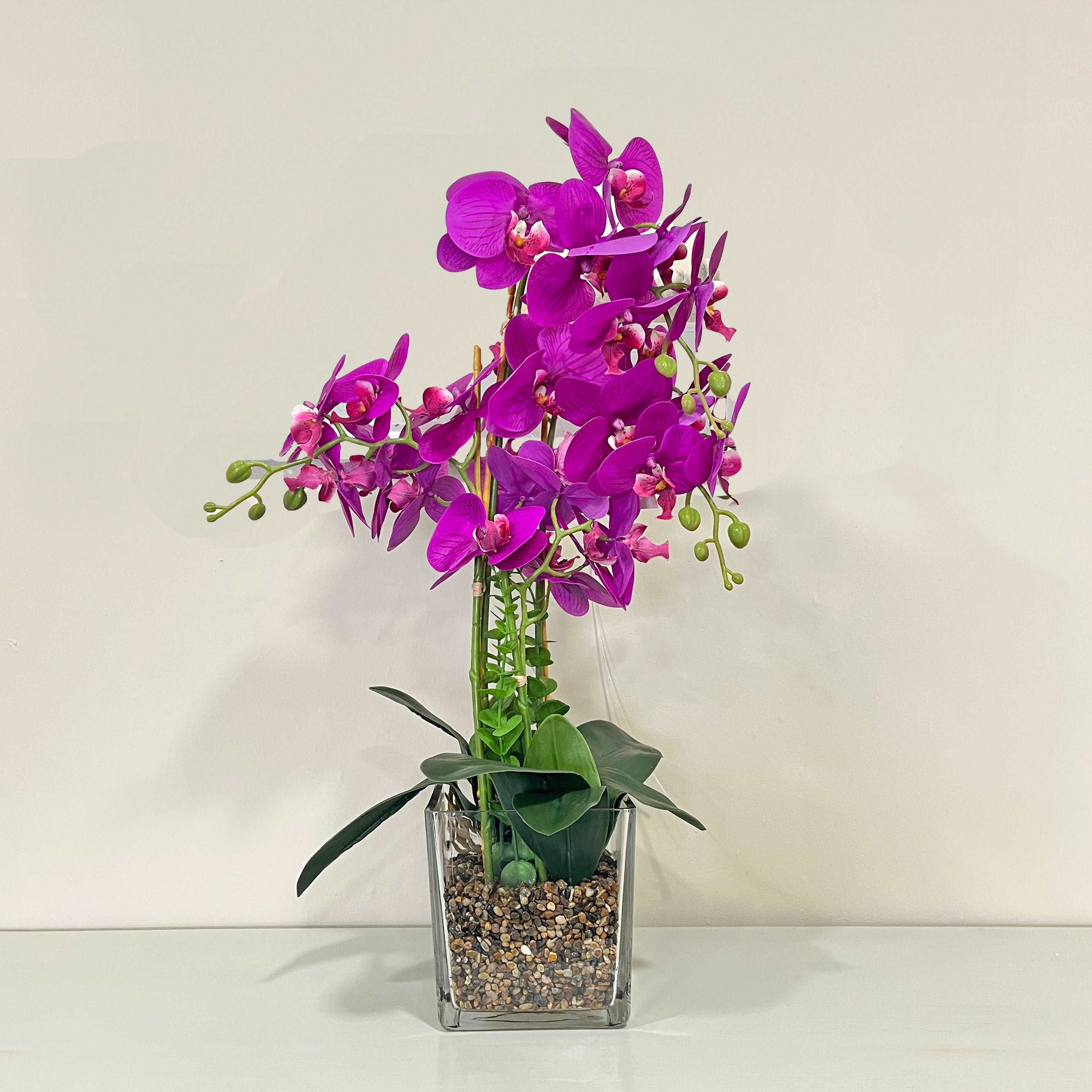 65cm Pink Orchid in Glass Pot