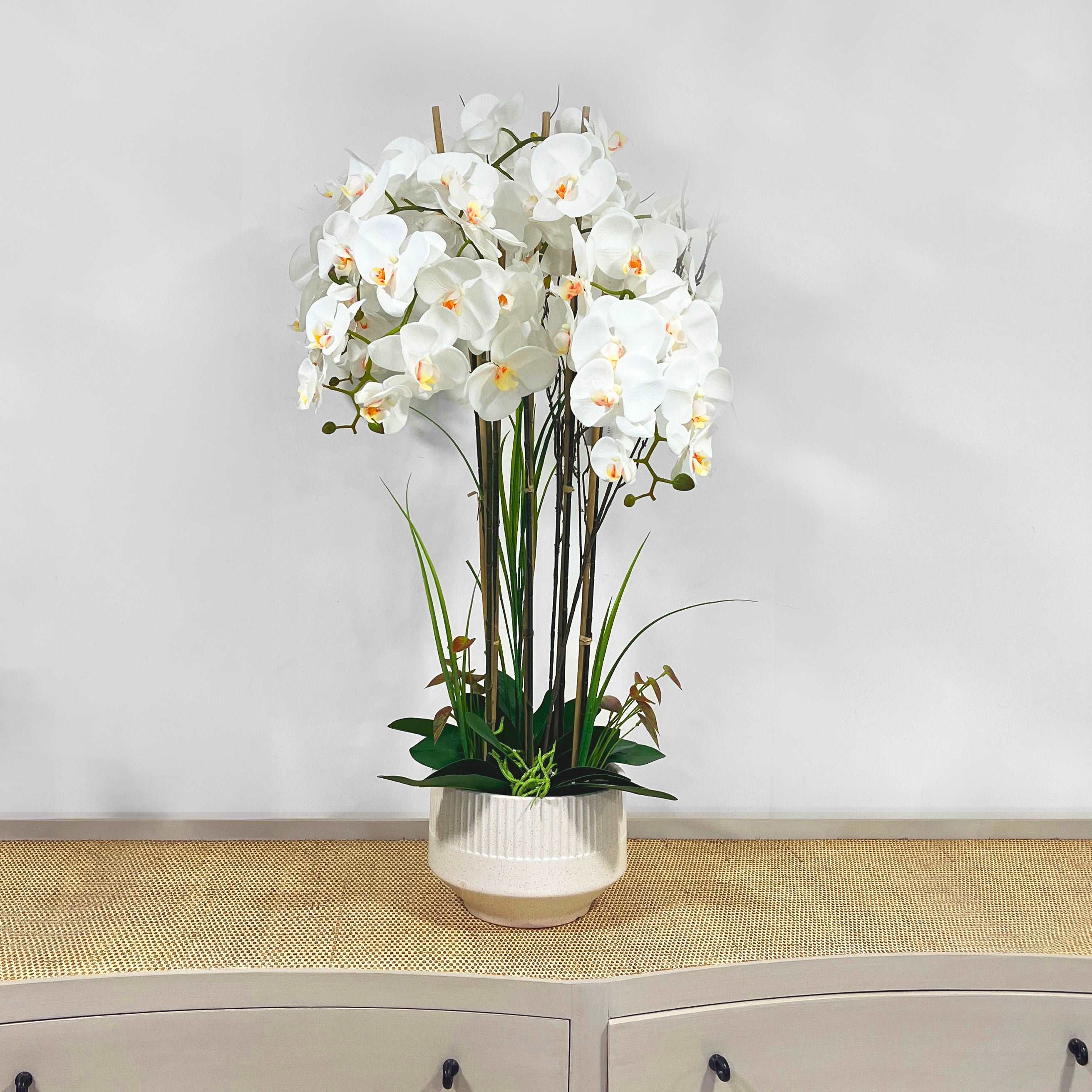 102cm White Orchid in Ceramic Pot