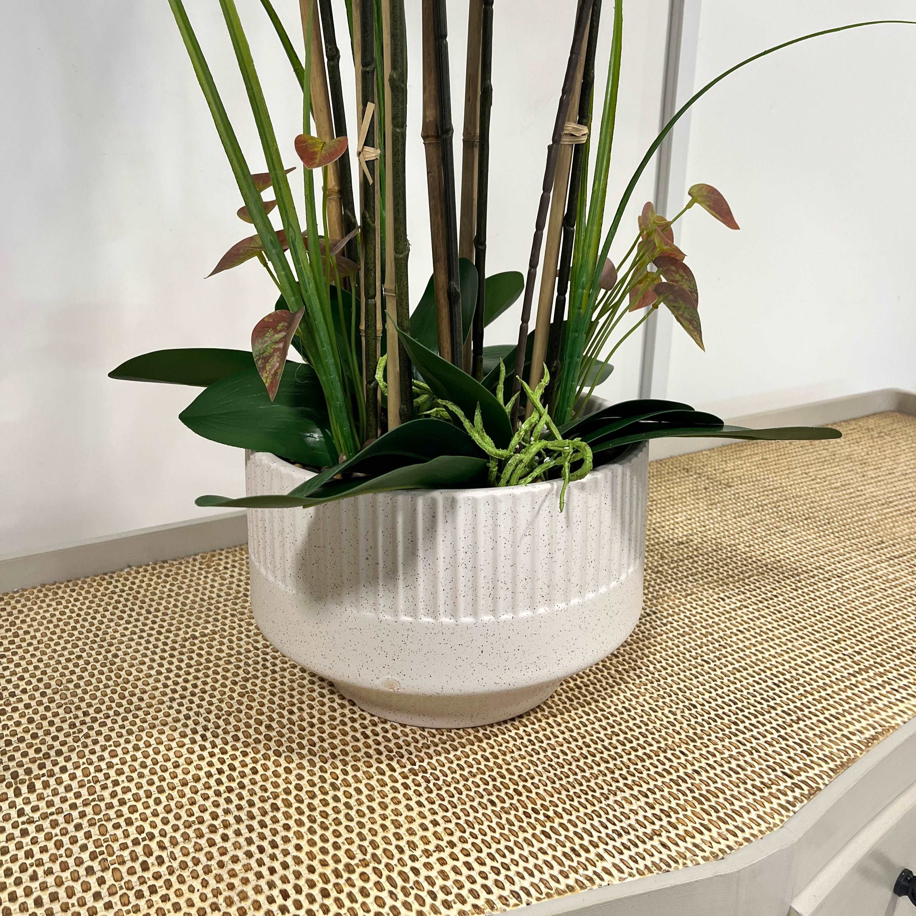 102cm White Orchid in Ceramic Pot