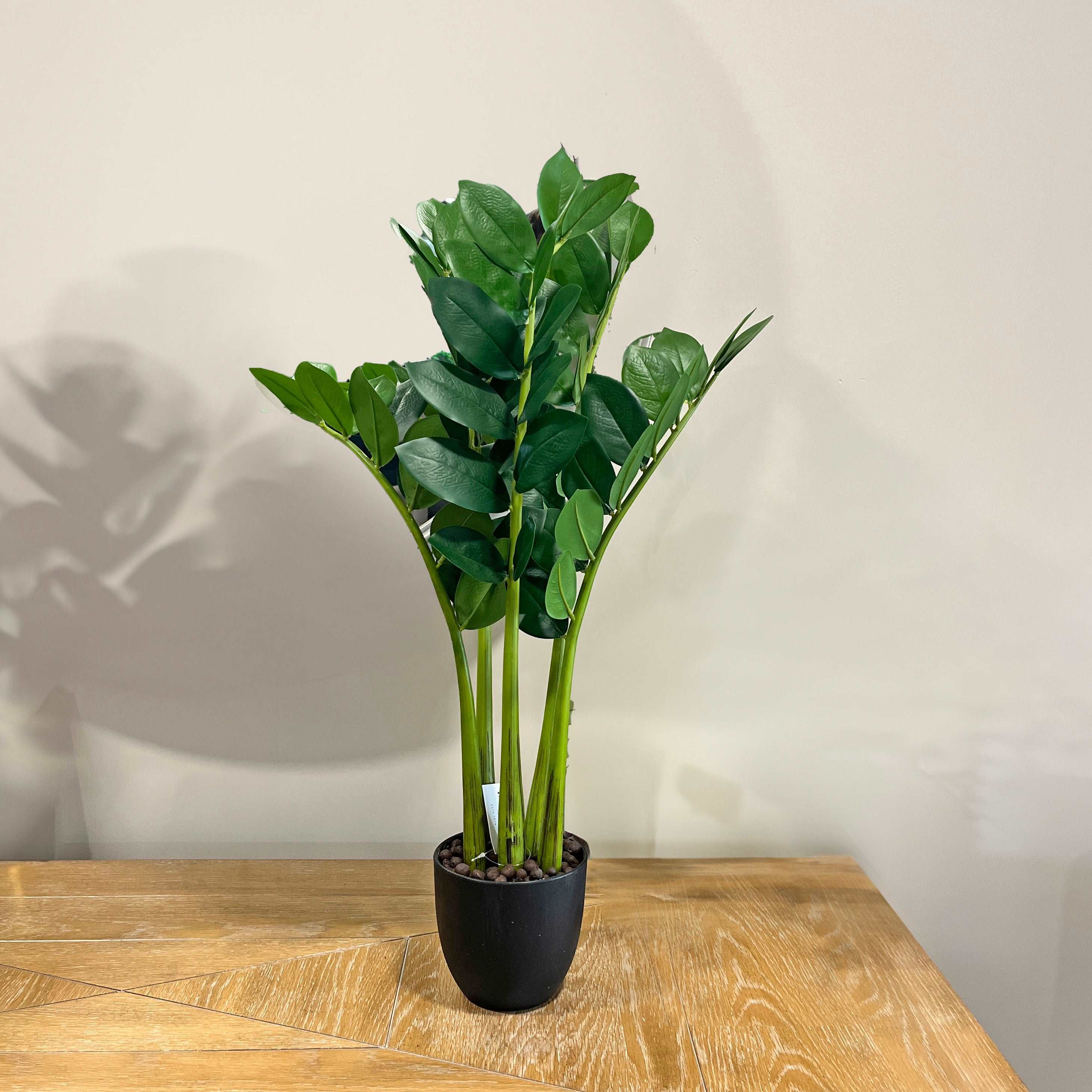 65cm Artificial Zamioculcas Plant in Pot