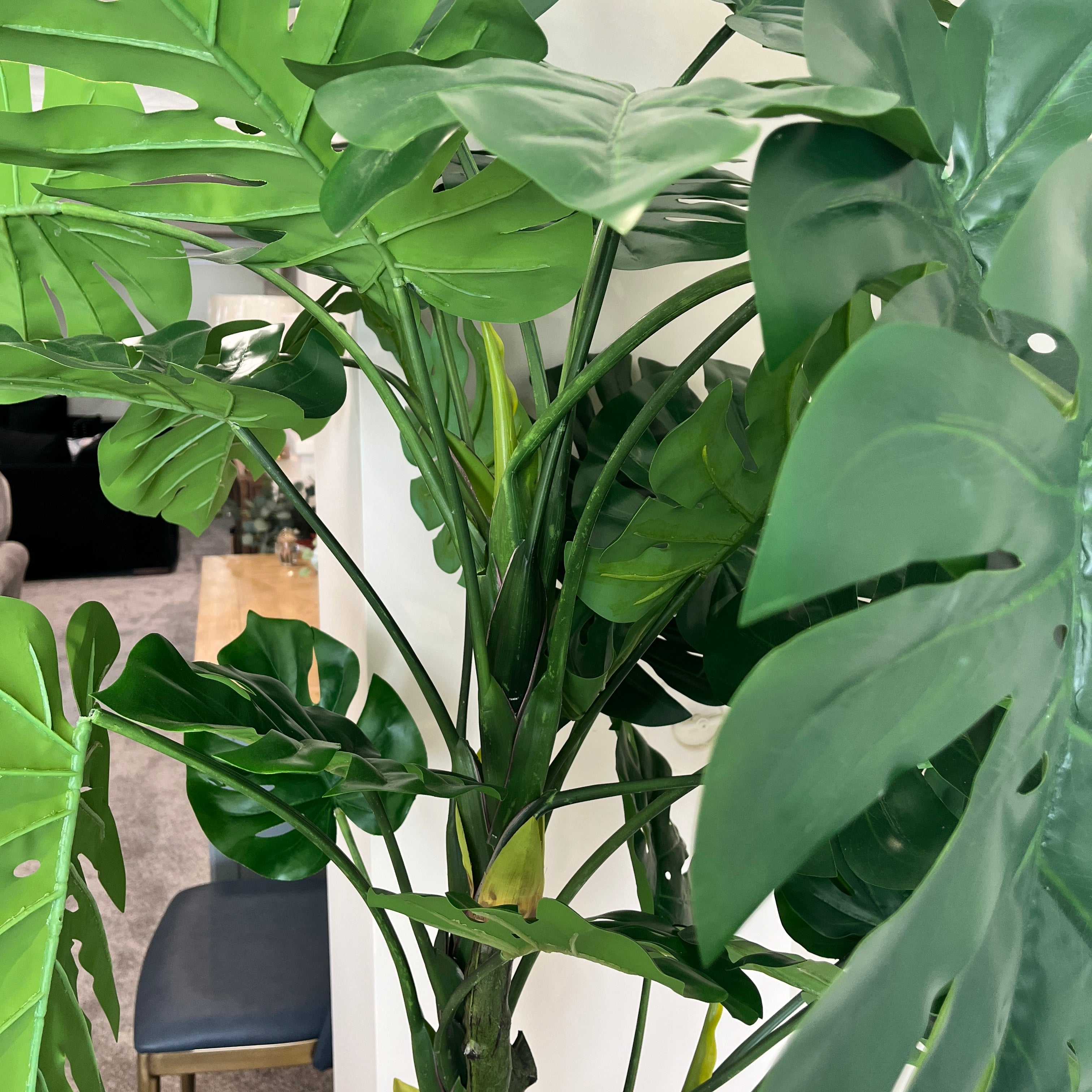 2m Artificial Monstera Plant in Pot