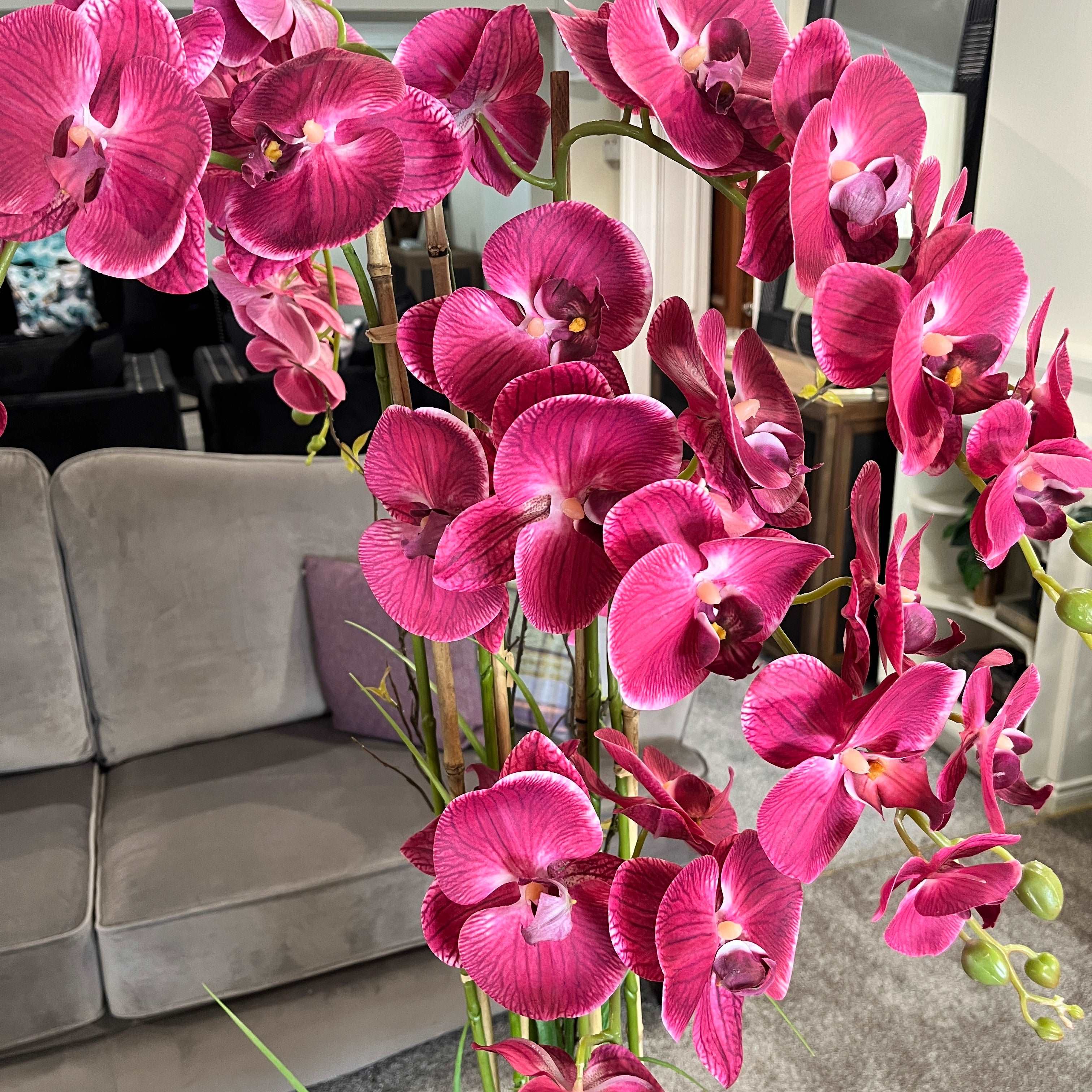 1.2m Pink Orchid in Ceramic Pot