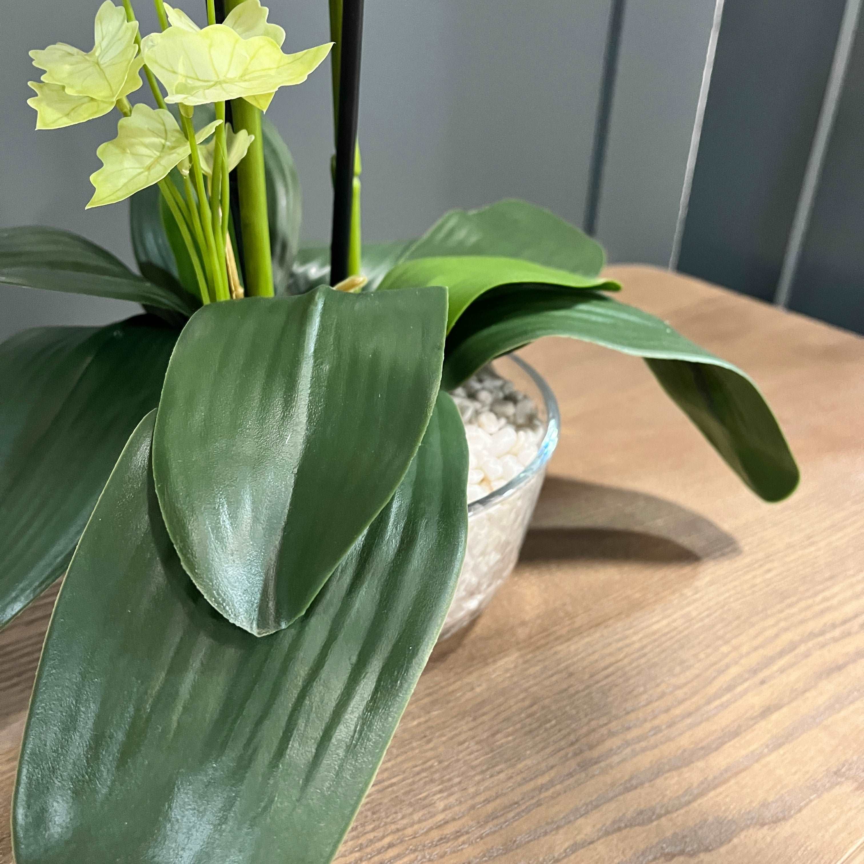 70cm White Orchid in Glass Pot