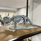 Triceratops Skeleton