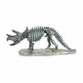 Triceratops Skeleton