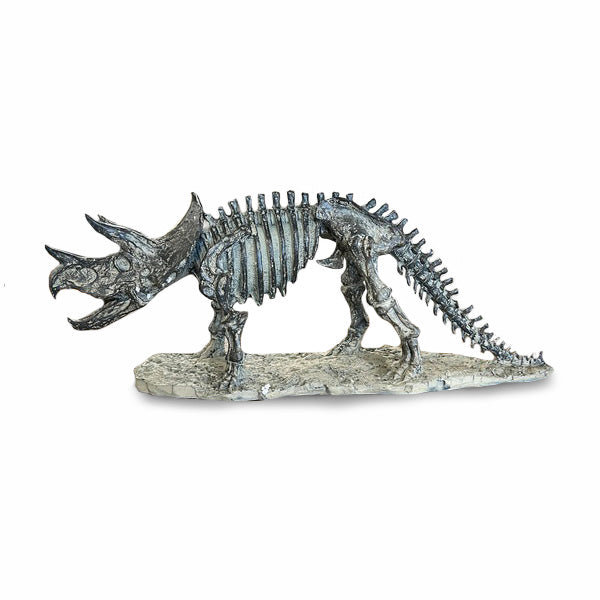 Triceratops Skeleton