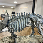 Triceratops Skeleton