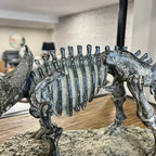 Triceratops Skeleton