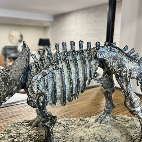 Triceratops Skeleton