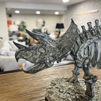 Triceratops Skeleton