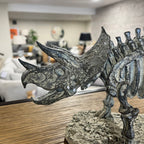 Triceratops Skeleton