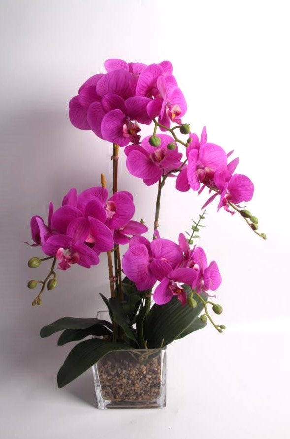 65cm Pink Orchid in Glass Pot