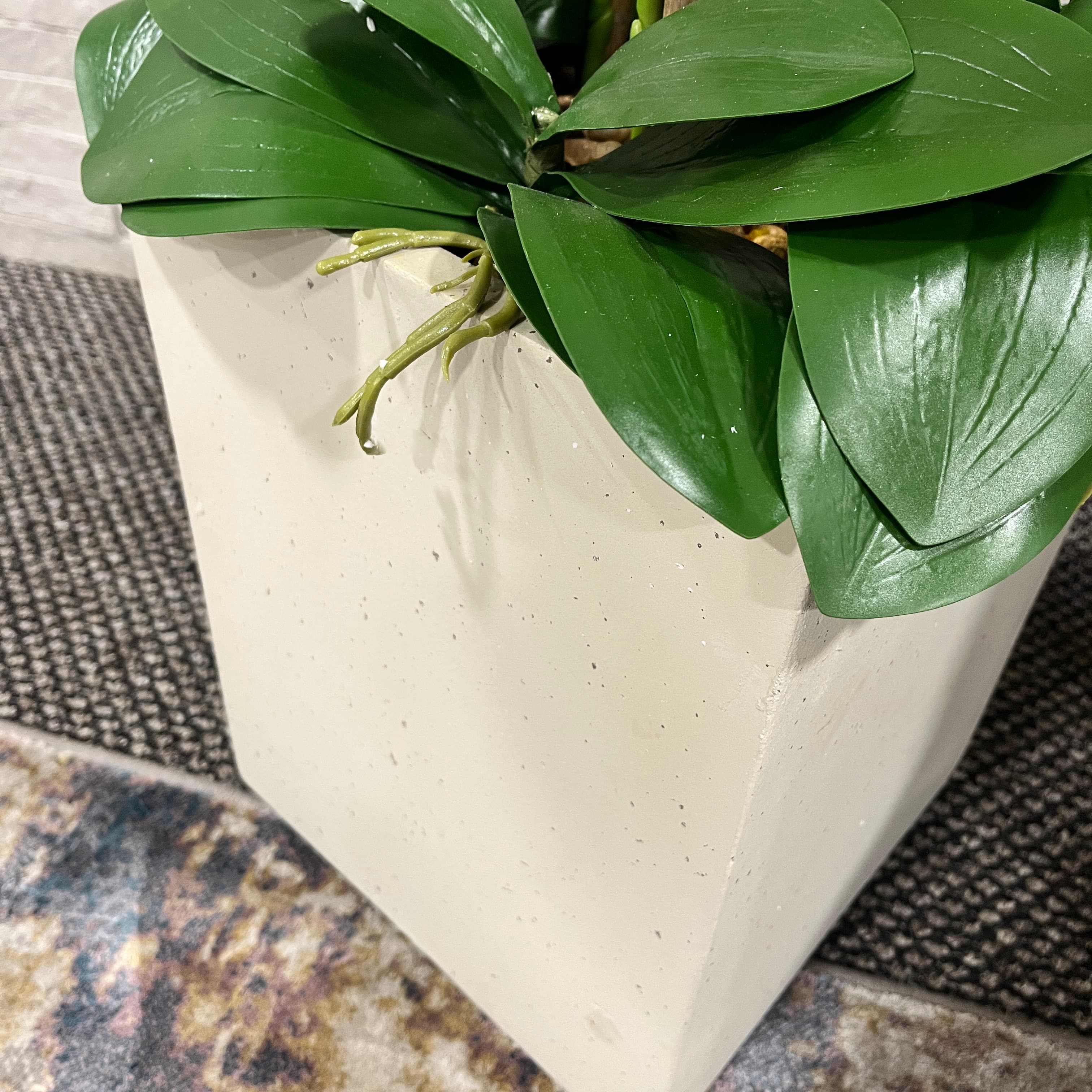 138cm White/Pink Orchid in Pot