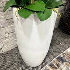 160cm White Orchid in Ceramic Pot