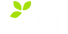 Logo with 'OH' letters and green leaves on a transparent background