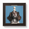 Balancing Springer Wall Art