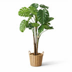 2m Artificial Monstera Plant in Pot