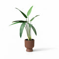 1.2m Artificial Bird of Paradise Tree in Pot