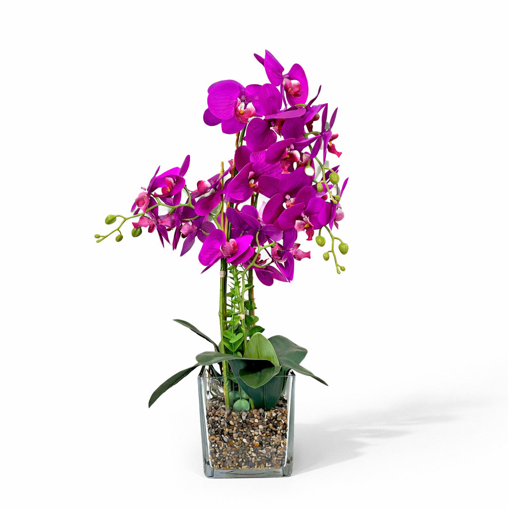 65cm Pink Orchid in Glass Pot