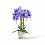 73cm Violet Orchid in Pot