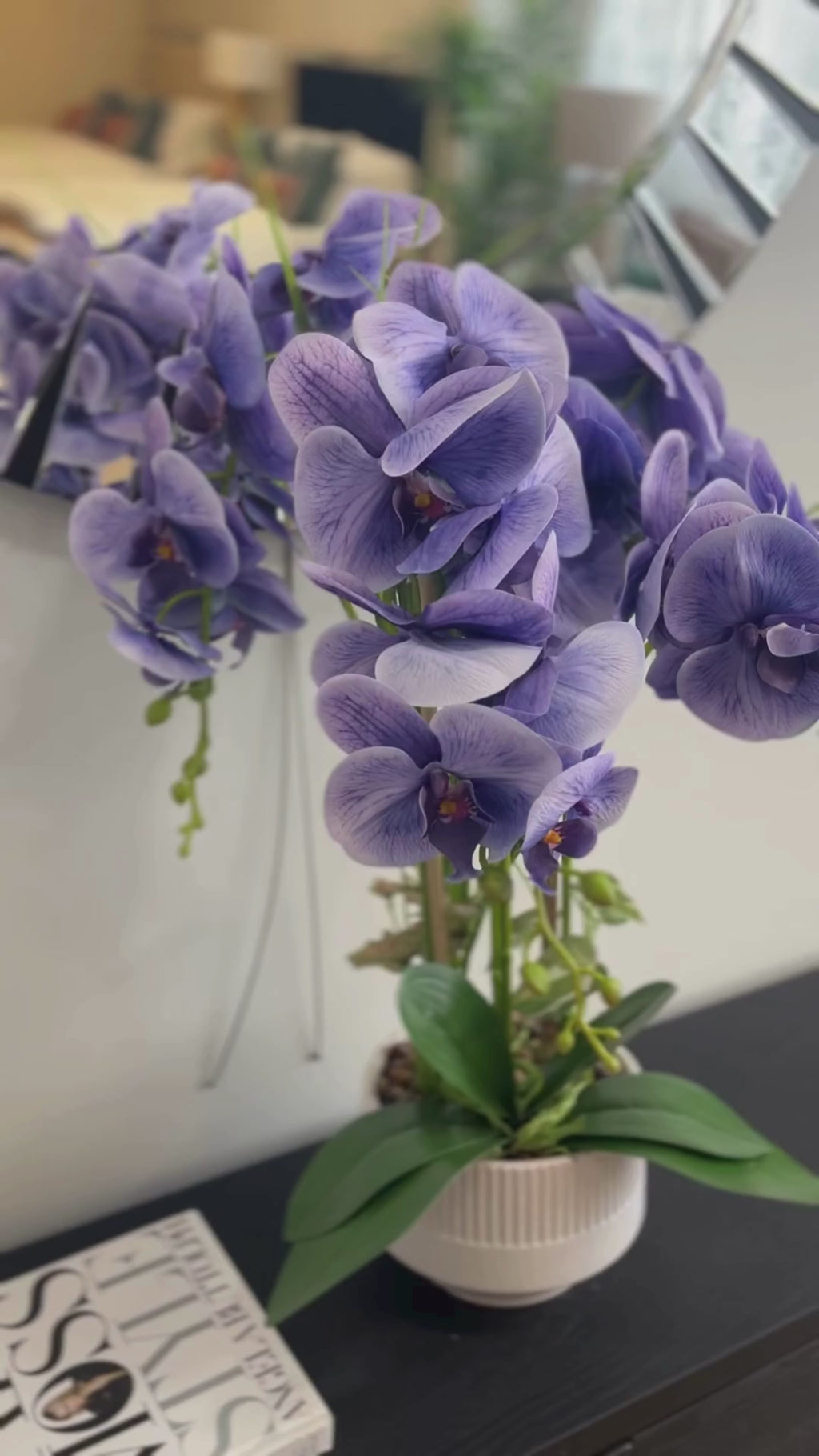 73cm Violet Orchid in Pot