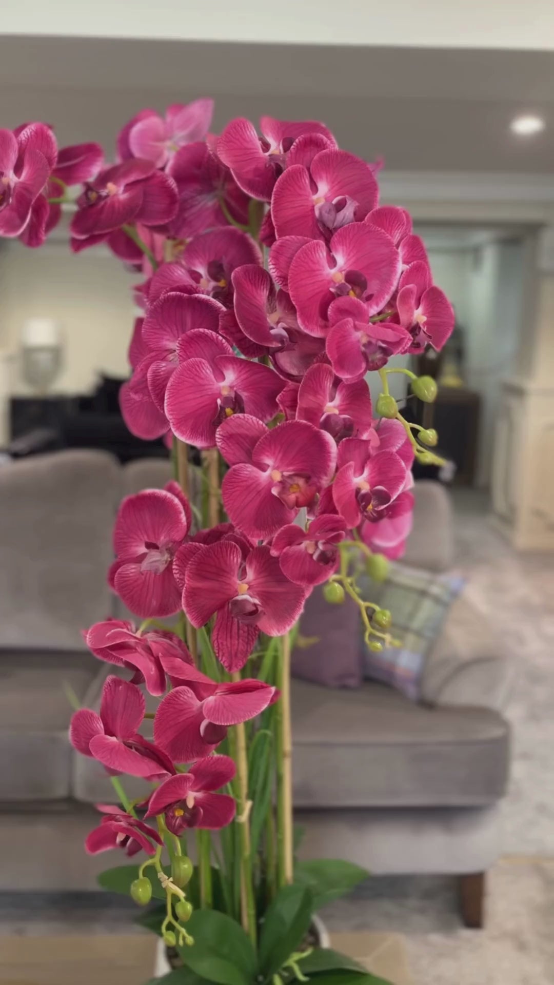 1.2m Pink Orchid in Ceramic Pot