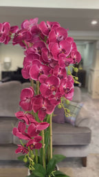 1.2m Pink Orchid in Ceramic Pot