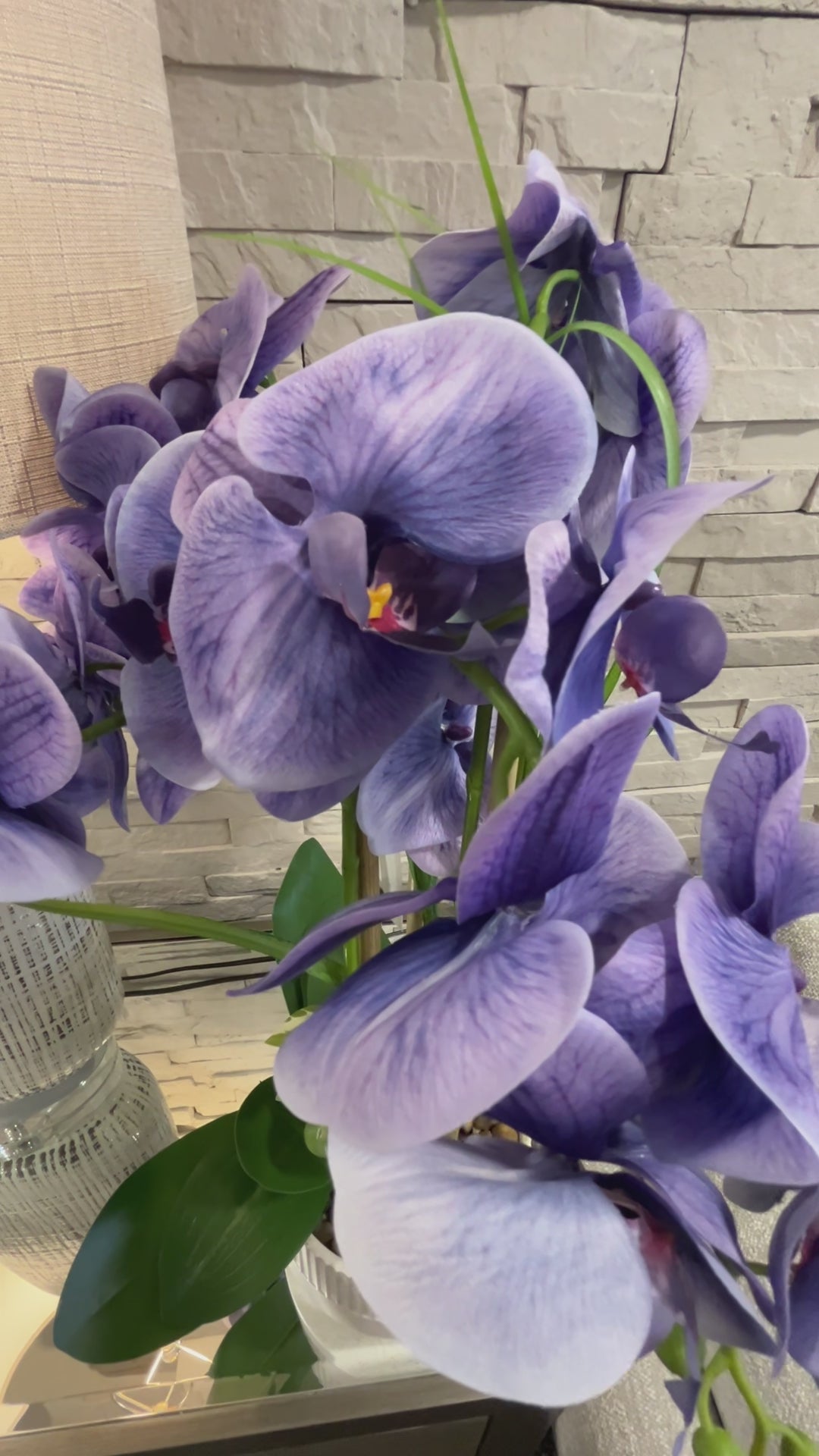 73cm Violet Orchid in Pot
