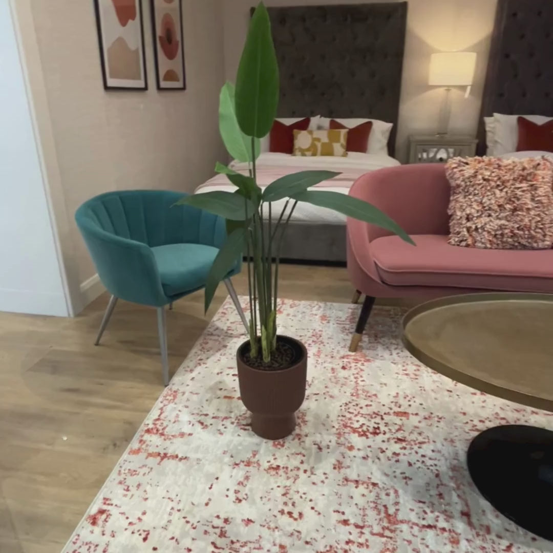 video of plant