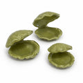 Set of 3 Clam Trinket Dishes
