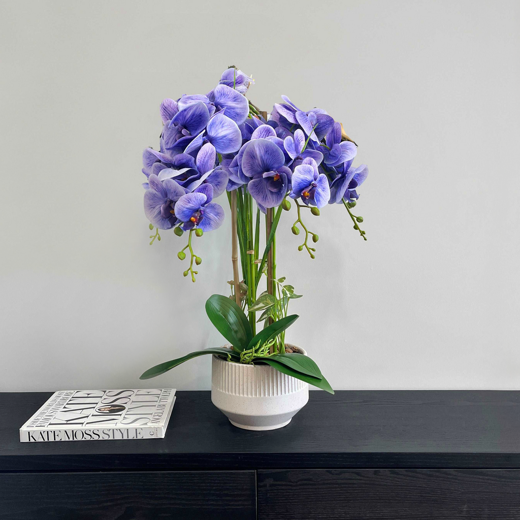 73cm Violet Orchid in Pot