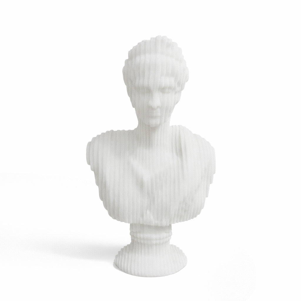 Resin Diana Bust