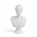 Resin Diana Bust