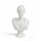 Resin Diana Bust